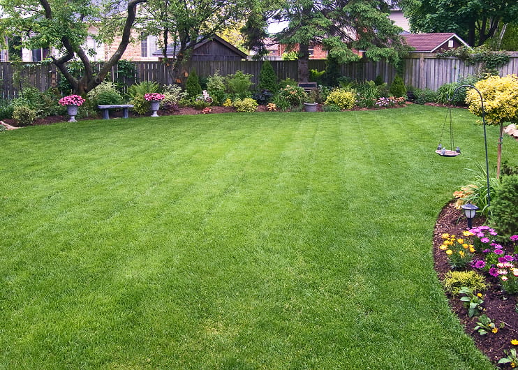 Newmarket and Aurora in lawn care services