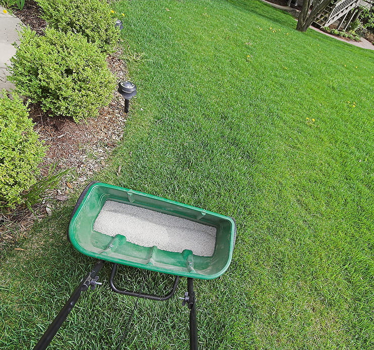 Lawn fertilizing in Aurora, ON