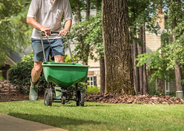 Lawn fertilizing in Aurora and Newmarket