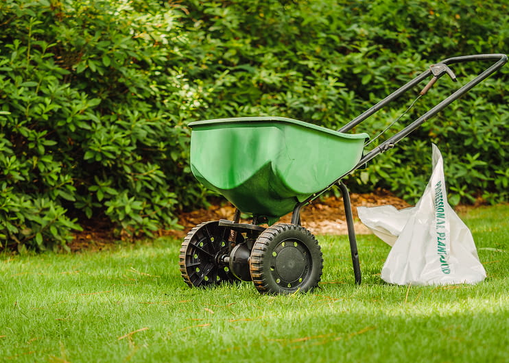 Lawn overseeding in Aurora, ON