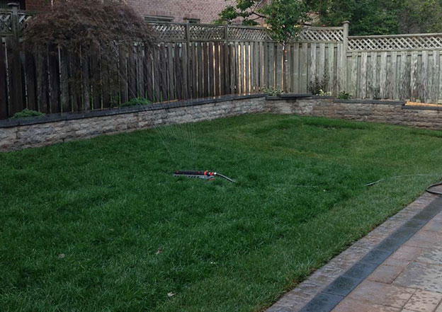 Aurora Sod Installation & Lawn Care