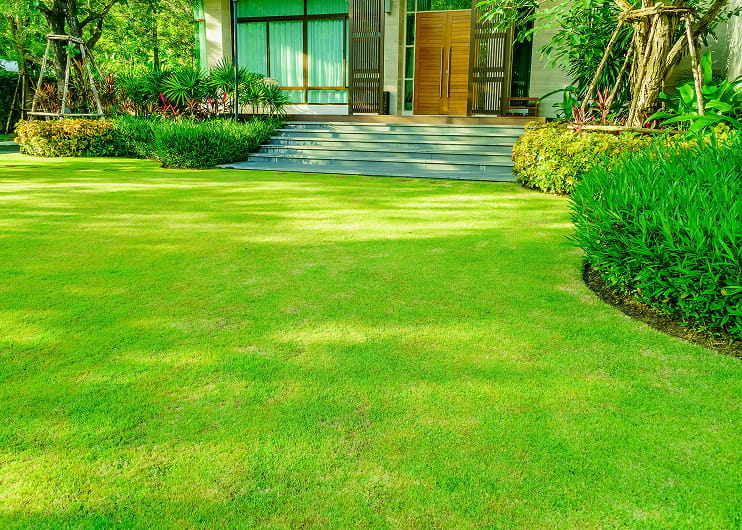 Aurora lawn care